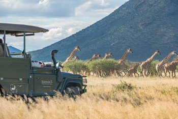 Old Traders Lodge: Aktivitäten