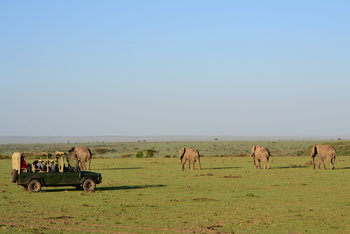 Richard's River Camp: Game Drive