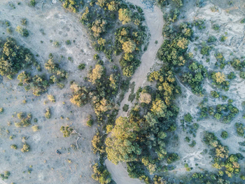 Tanda Tula Safari Camp: Landschaft