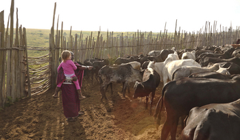 The Highlands Camp: Massai Boma