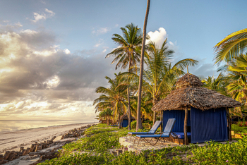 The Palms: Beach Banda