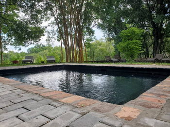 Tintswalo at Siankaba: Pool