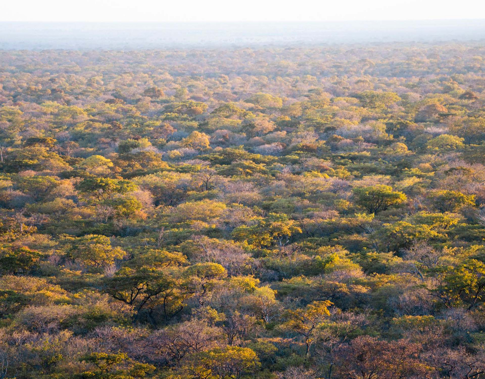 Usangu Expedition Camp Usangu Expedition Camp: Luftbild der Usangu Plains