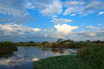 Zambezi Mubala Lodge: Wasserwelt