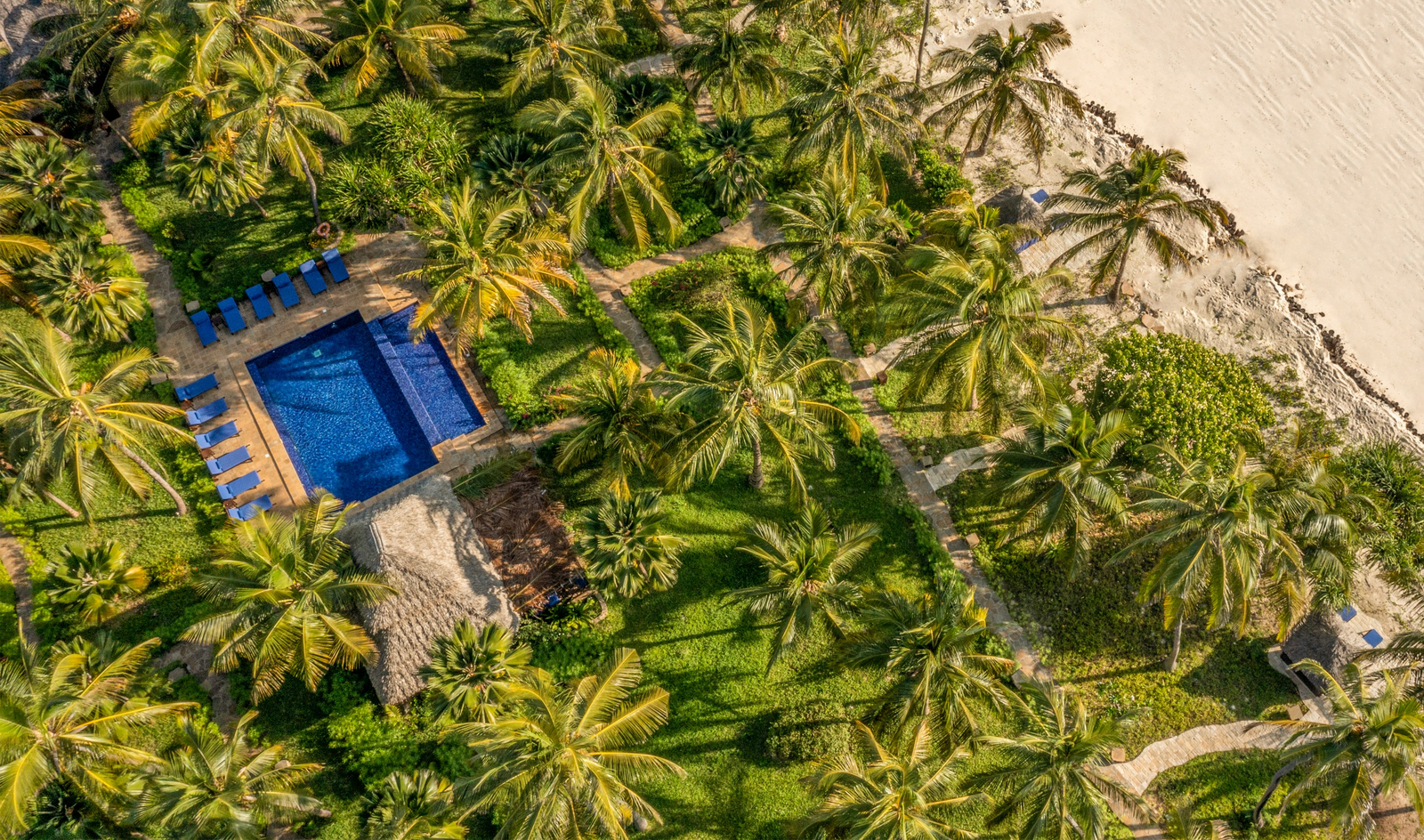 The Palms The Palms: Hauptbereich von oben