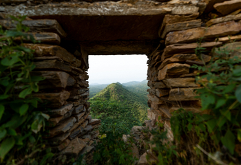 Brij Lakshman Sagar: Landschaft