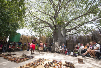 Chobe Princess: Volkskunst unter dem Baobab