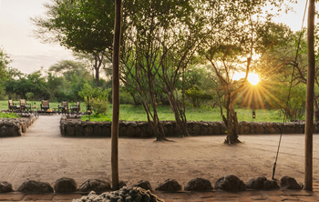 Forest Chem Chem: Geharkte Wege