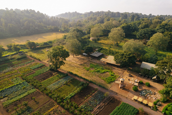 Gibb's Farm: Farm von oben