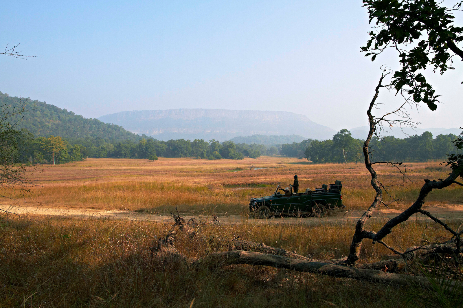 Samode Safari Lodge Samode Safari Lodge