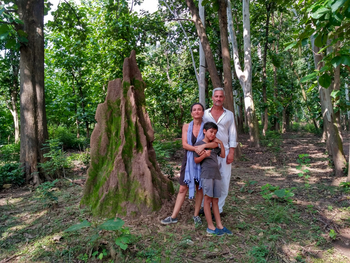 Jim's Jungle Retreat: Termite Walk