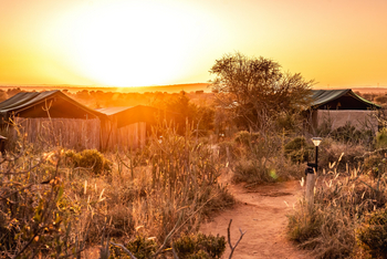 Laikipia Wilderness Camp: Campgelände