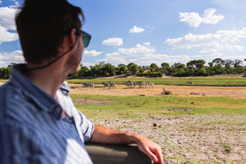 Leroo La Tau Lodge: Zebragruppe