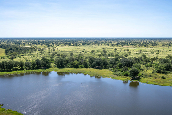 Maxa Camp Maxa Camp: Galeriewald