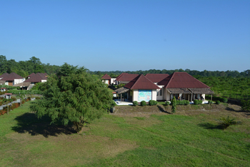 Musa Jungle Retreat Musa Jungle Retreat: Luftbild