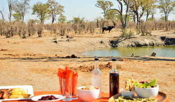 Nogatsaa Pans Chobe Lodge: Picknick an einem Wasserloch