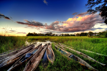 Oddballs' Camp: Mokorohafen