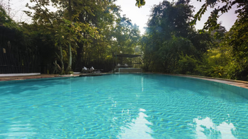 Reni Pani Jungle Lodge: Klarer Pool