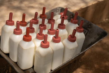 Reteti Elephant Sanctuary Reteti Elephant Sanctuary: Milchflaschen