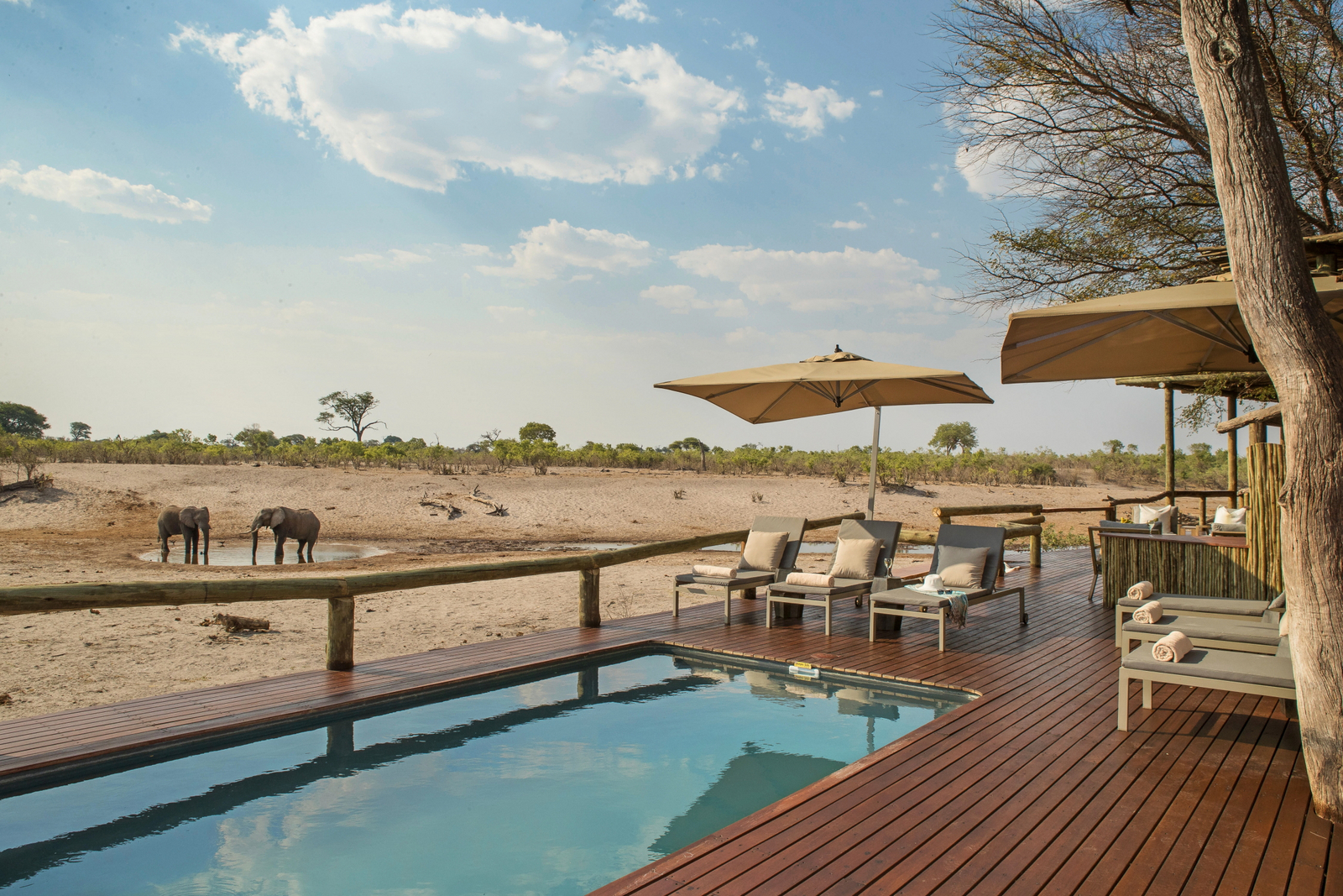 Savute Safari Lodge Savute Safari Lodge: Pool