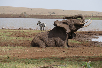 Sirikoi Lodge Sirikoi Lodge: Schlammbad