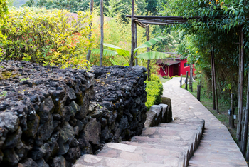 Chameleon Hill Forest Lodge: Steinweg zur Gästeunterkunft