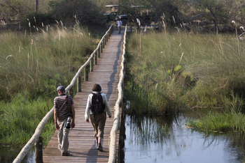 Duba Explorers Camp: Ankunft im Camp