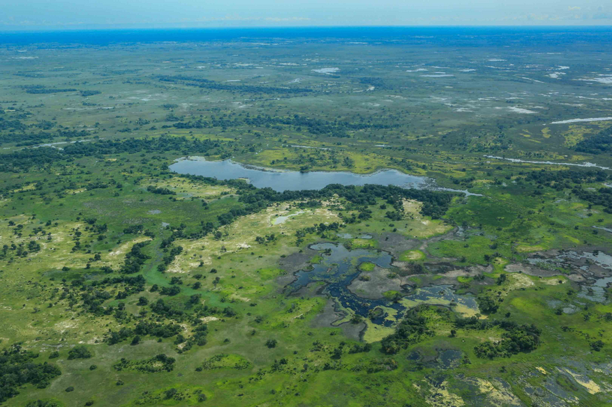 Duba Plains Camp