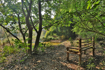 Jim's Jungle Retreat: Außenanlagen