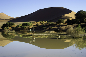 Kulala Desert Lodge: Sossusvlei