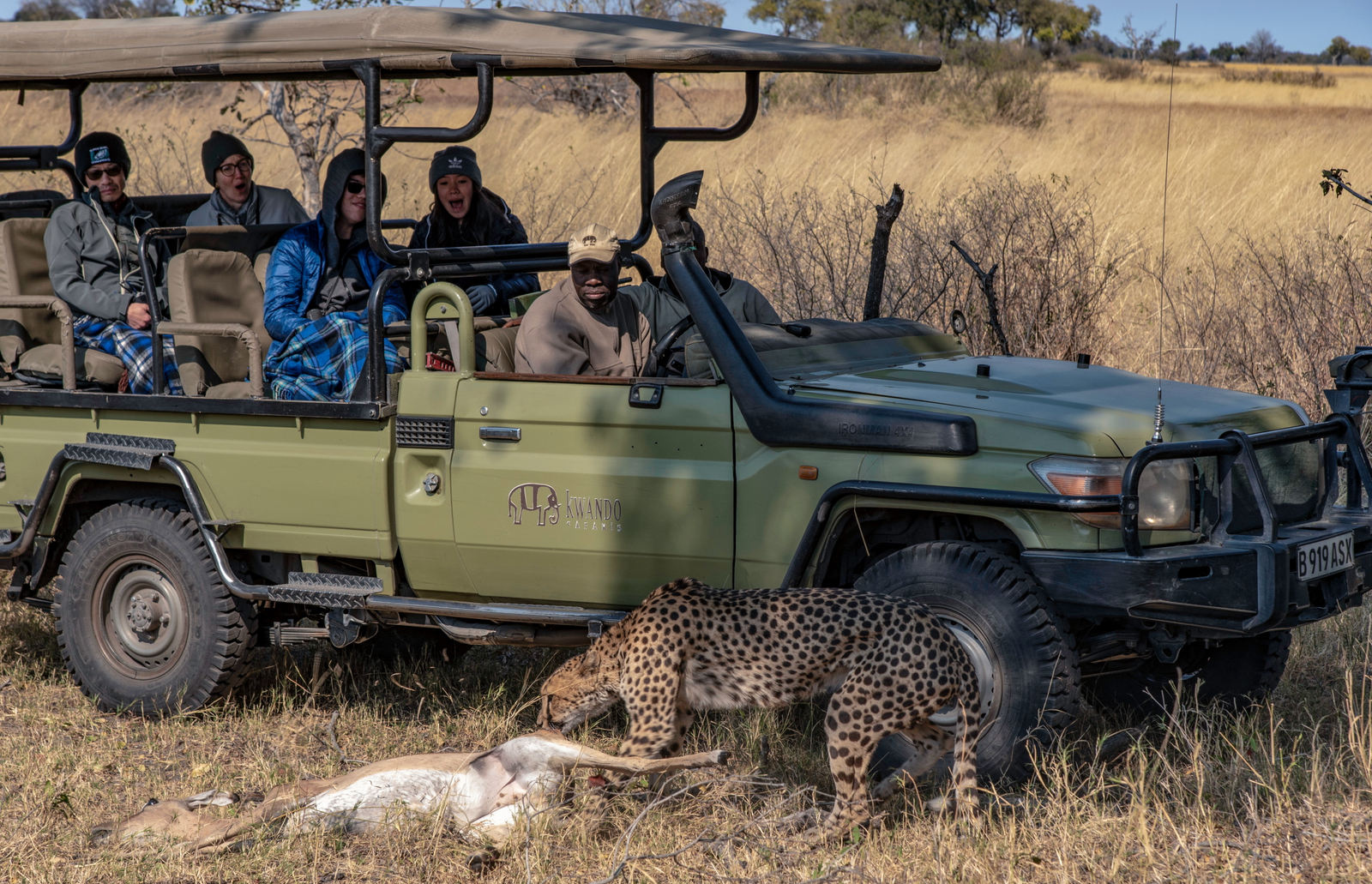 Lagoon Camp Lagoon Camp: Gepard mit Beute