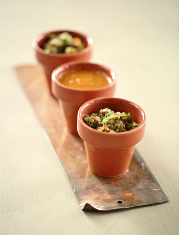 Lion Camp Lion Camp: Salsa