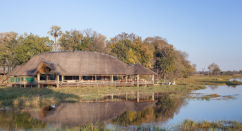 Moremi Crossing: Sone auf dem reetdach