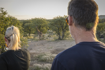 Ohorongo: Blick in den Busch