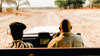 Shawa Luangwa Camp: Game Drive