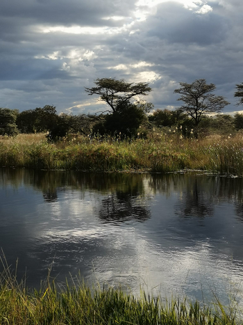 Camp Kwando: Landschaft und Tiere