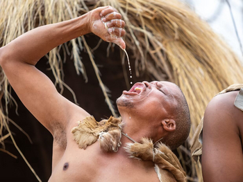 Gham Dhao Lodge Gham Dhao Lodge: Gewinnung von Wasser aus Wurzeln