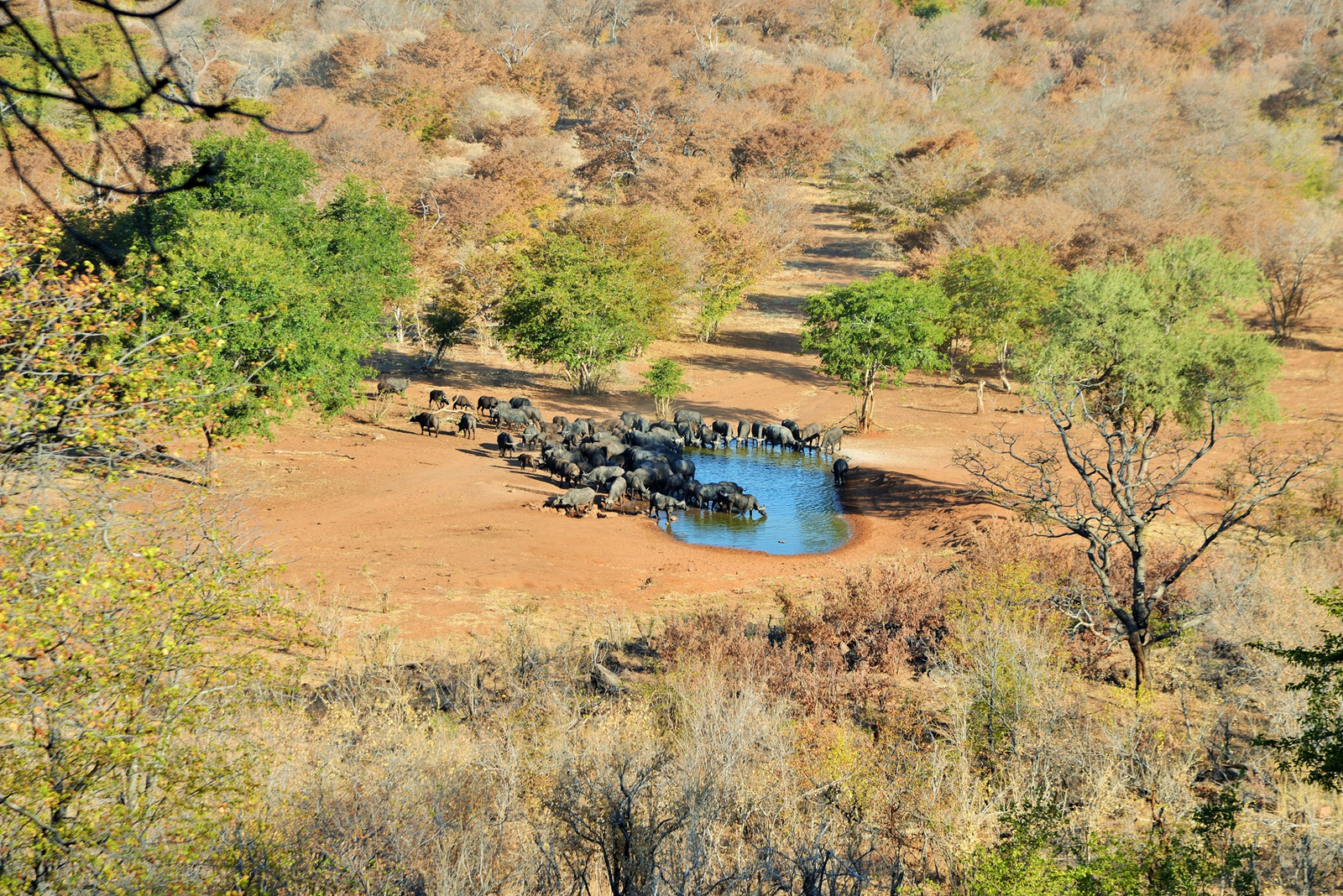 Ghoha Hills Savuti Lodge Ghoha Hills Savuti Lodge: Luftbild Wasserloch