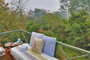 Jim's Jungle Retreat: Carpet Sahib's Cafe