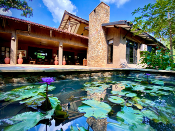 Kings Lodge: Seerosenteich