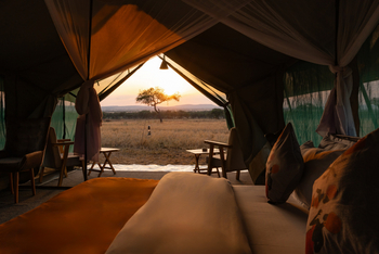 Little Moru Camp: Blick aus einem Zelt