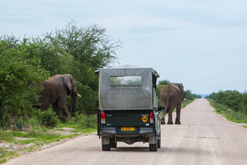 Mushara Game Drive: Piste durch Etosha