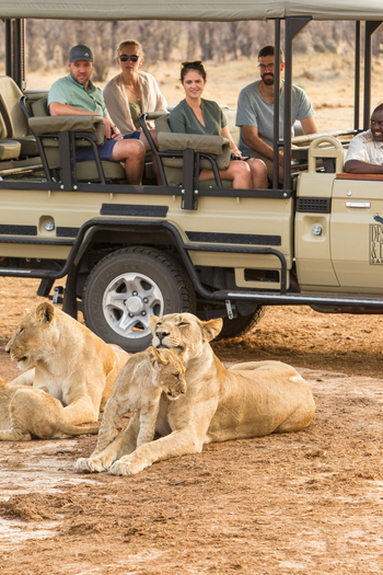 Savute Safari Lodge: Game Drive - Sozialer Kontakt