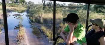 Seba Camp: Wasserscheuer Leopard