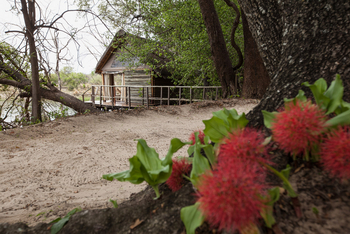 Sindabezi Island Camp: Chalet 1