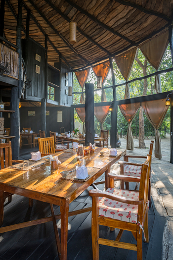 Treehouse Hideaway: Sonne im Restaurant