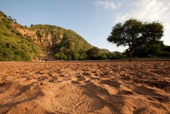 Wayo Manyara Green Camp: Flussbett und steile Böschung