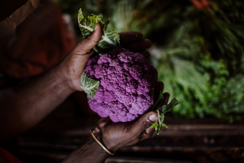 Xanadu Villas: Blumenkohl