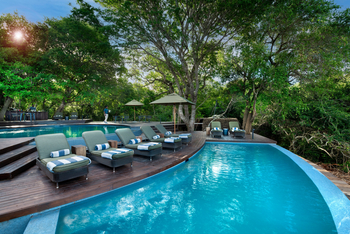 andBeyond Phinda Forest Lodge: Pool