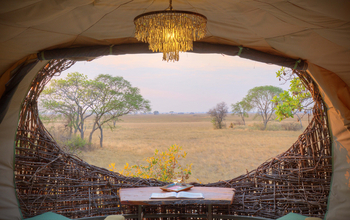 Chisa Busanga Camp Chisa Busanga Camp: Tisch am Nestfenster